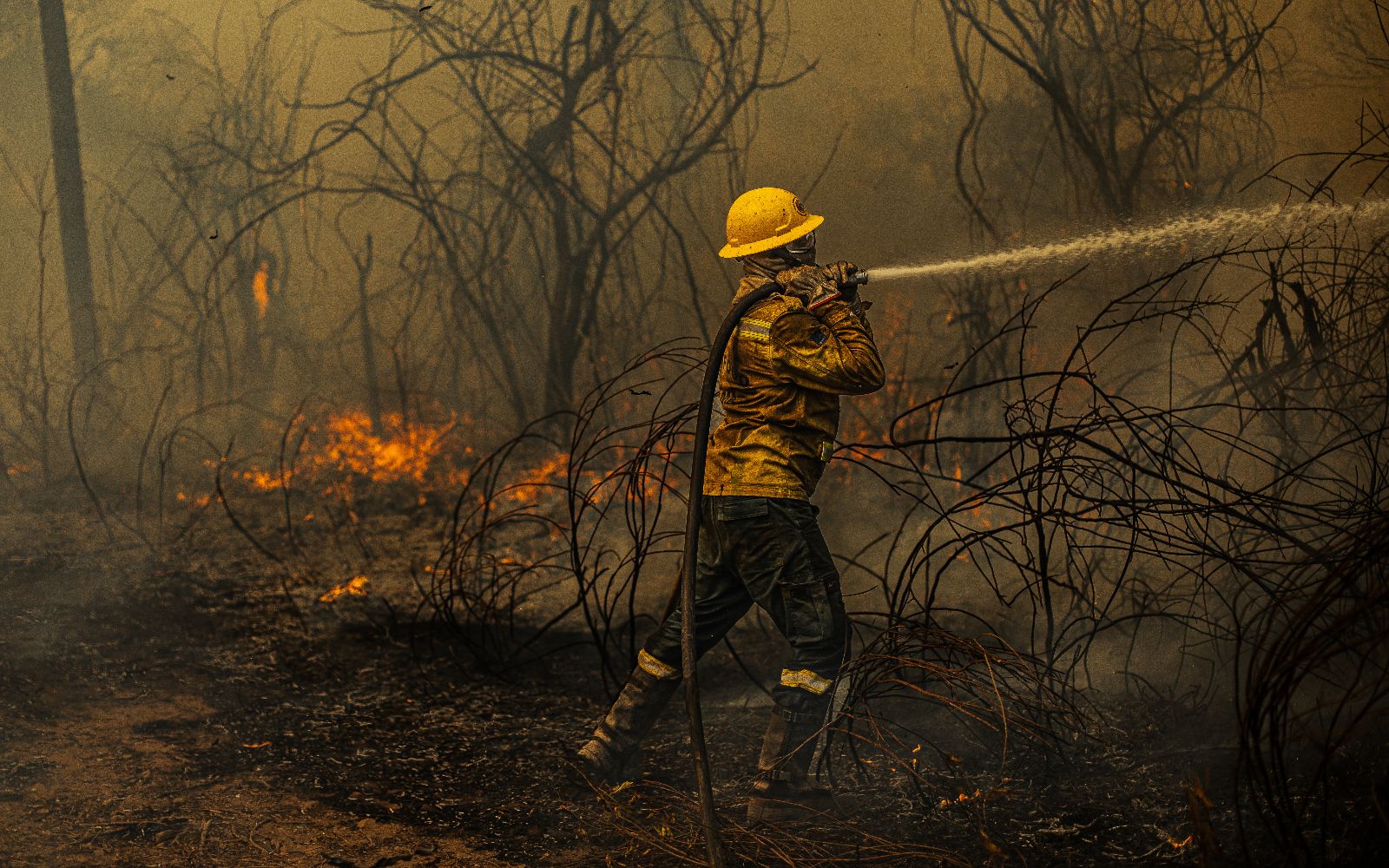 Foto von Feuerlöscharbeiten in Brasilien