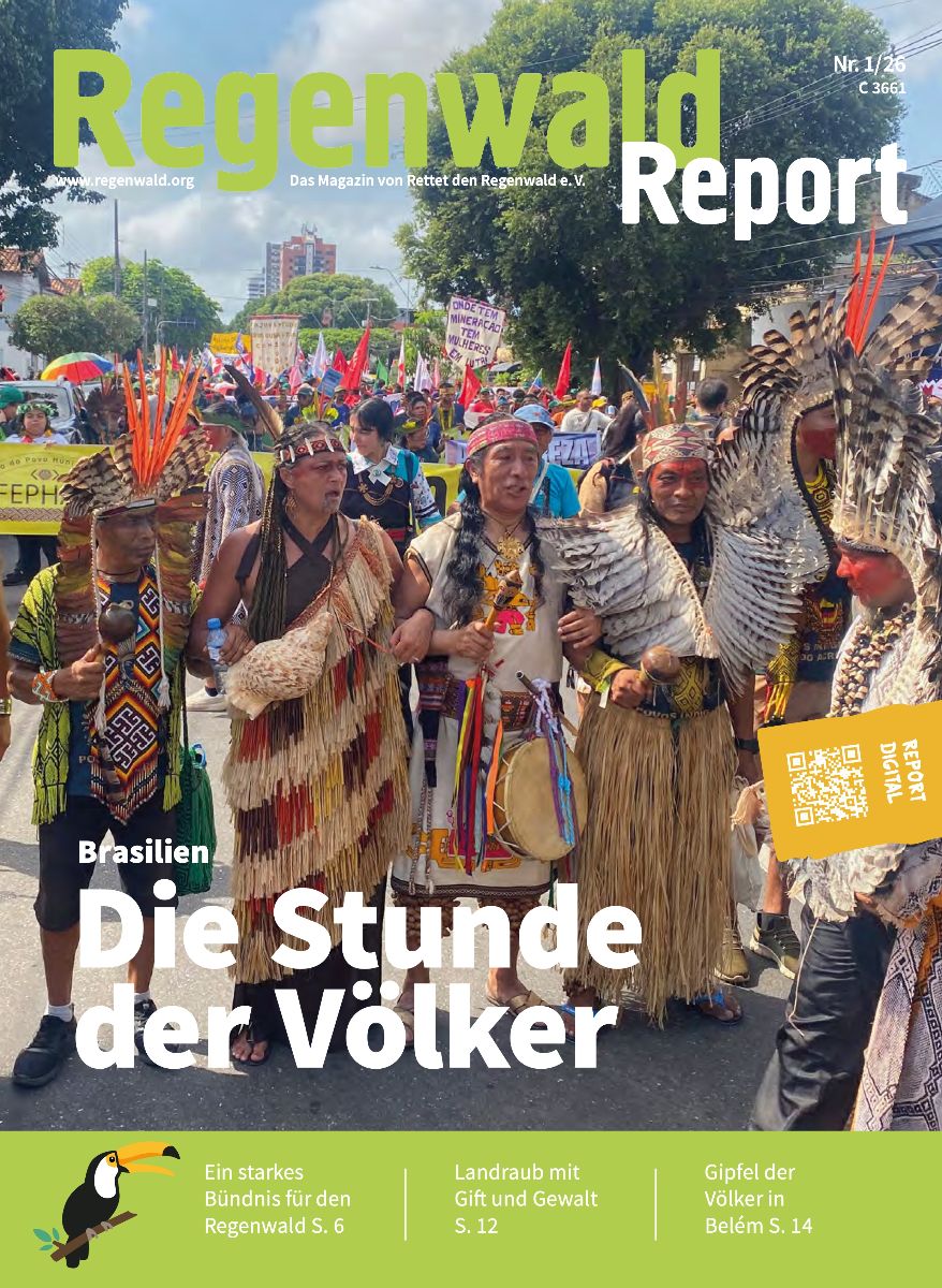 Titelbild Regenwald Report 1/26