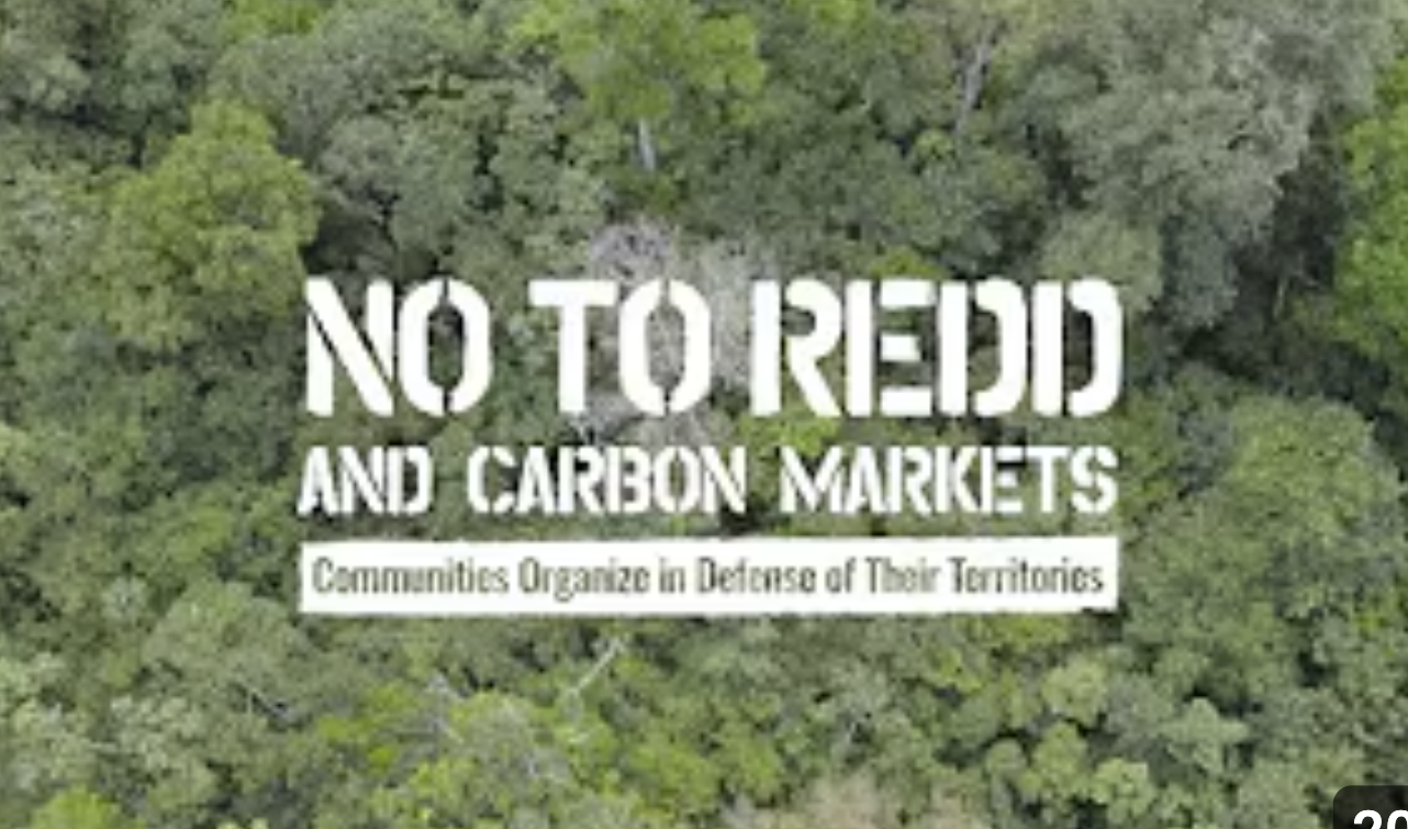 No to Redd - Video Thumbnail