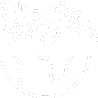 Icon Unsere Schwerpunktthemen