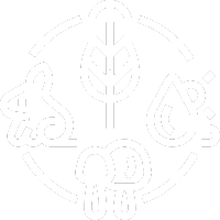 Icon Das Mercosur-Referendum
