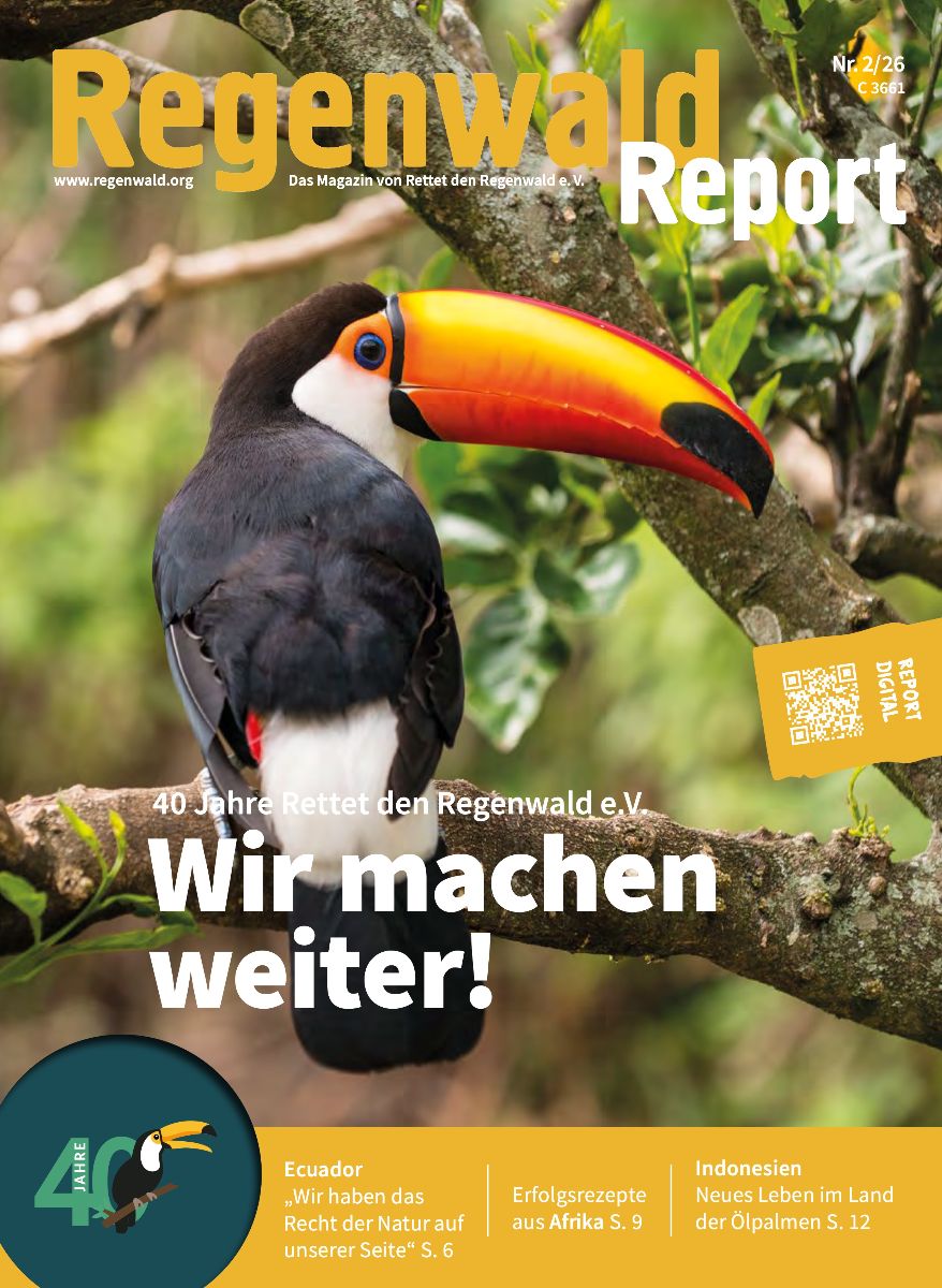 Titelbild Regenwald Report 2/26