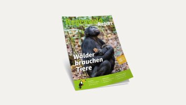 Bild: neue Ausgabe Regenwald Report 2/24